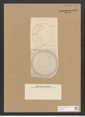 Campylodiscus ecclesianus Grev. (de-Toni-Nr.: Genus 57, Species 2487) Zeichnungen Sammlung Grunow Nr. 4996 (NHMW-BOT-W0373240)